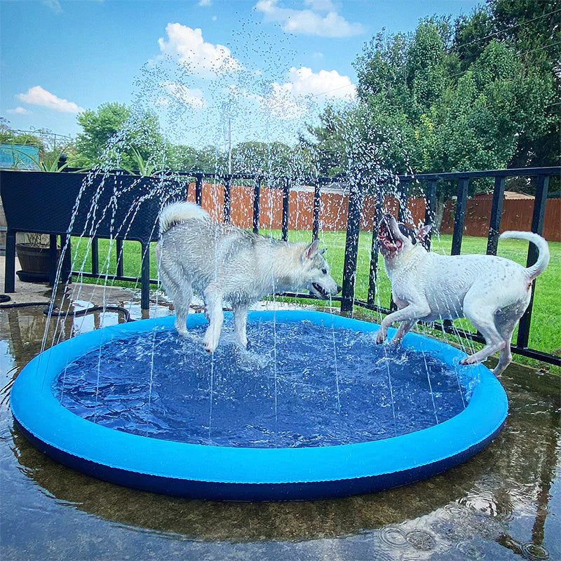 Piscina com Chafariz | Para Cachorro